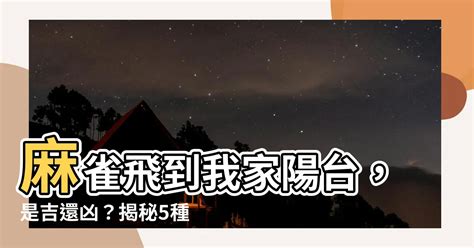 麻雀飛到陽台|【麻雀飛到陽台】麻雀飛到陽台，吉兆還是凶兆？揭開鳥類飛進家。